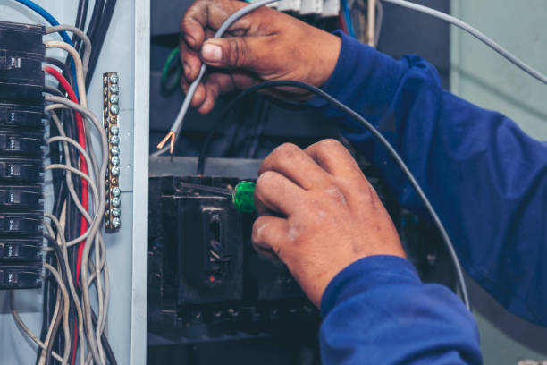 Best Electric Panel Repair  in Mountain City, TN